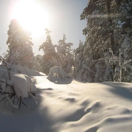 Northern Lights By Dg Lomailu, Lapland, Finland * Kyro