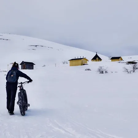 Northern Lights By Dg Lomailu, Lapland, Finland