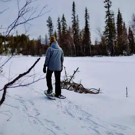 Northern Lights By Dg Lomailu, Lapland, Finland Kyro