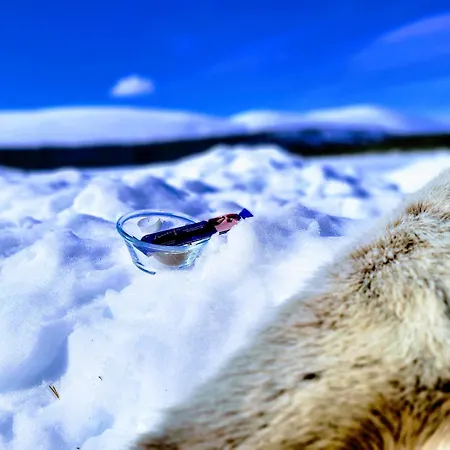Northern Lights By Dg Lomailu, Lapland, Finland