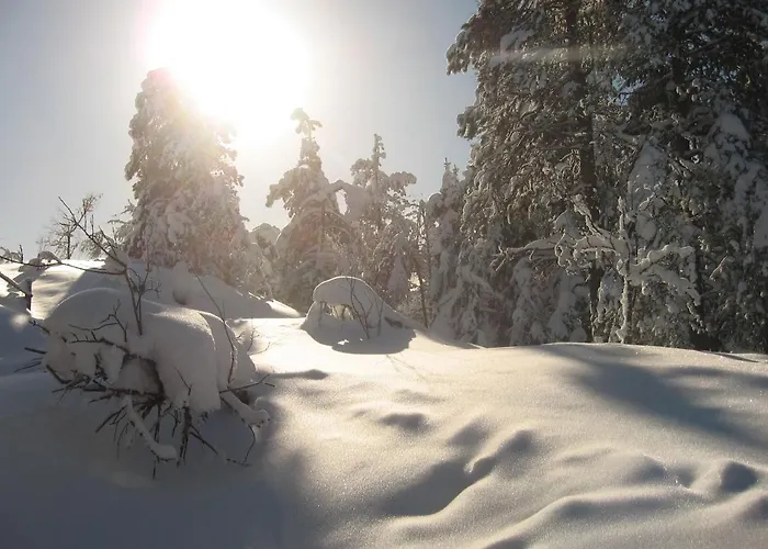 Northern Lights By Dg Lomailu, Lapland, Finland * Kyro